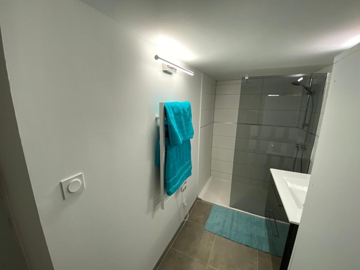 Superbe Appartement climatisé avec Patio Montpellier Esterno foto